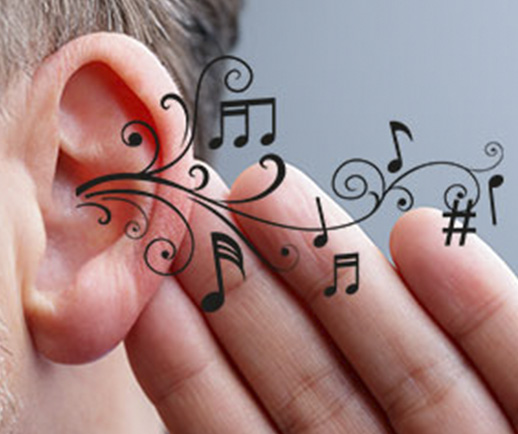 Imagen de TALLER DE AUDIOPERCEPTIVA